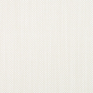 Ravenna Sand W8614 by Thibaut Designer Fabric