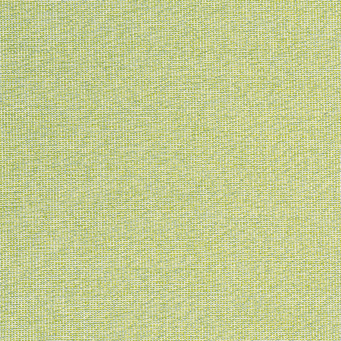 Sacchi Leaf W8763 by Thibaut Fabric Thibaut Fabric Sacchi Leaf W8763Fabric Haven Textures 100% Polyester (UV) U.S.A. </p><p>Repeat: V: - 54 - Fabric Carolina -