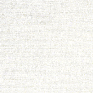 Adria Salt W8791 by Thibaut Designer Fabric