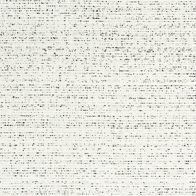 Adria Onyx W8796 by Thibaut Fabric Thibaut Fabric Adria Onyx W8796Fabric Haven Textures 100% Polyester (UV) U.S.A. </p><p>Repeat: V: - 54 - Fabric Carolina -