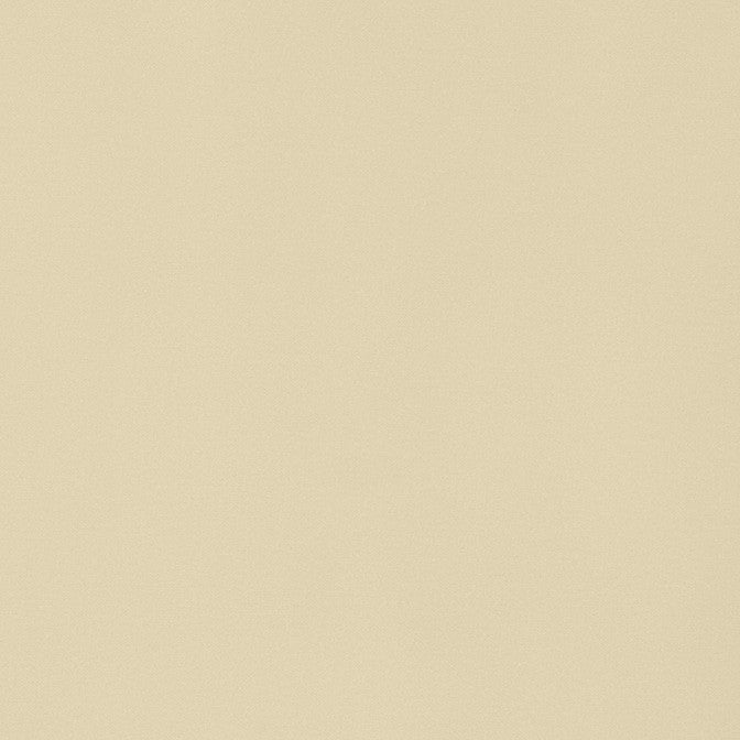 Lyra Velvet Suede W8908 by Thibaut Fabric Thibaut Fabric Lyra Velvet Suede W8908Fabric Lyra Velvets 100% Cotton ITALY </p><p>Repeat: V: 0 54 - Fabric Carolina -