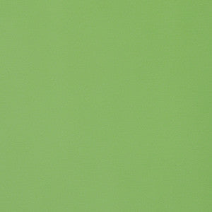 Lyra Velvet Grass W8924 by Thibaut Designer Fabric