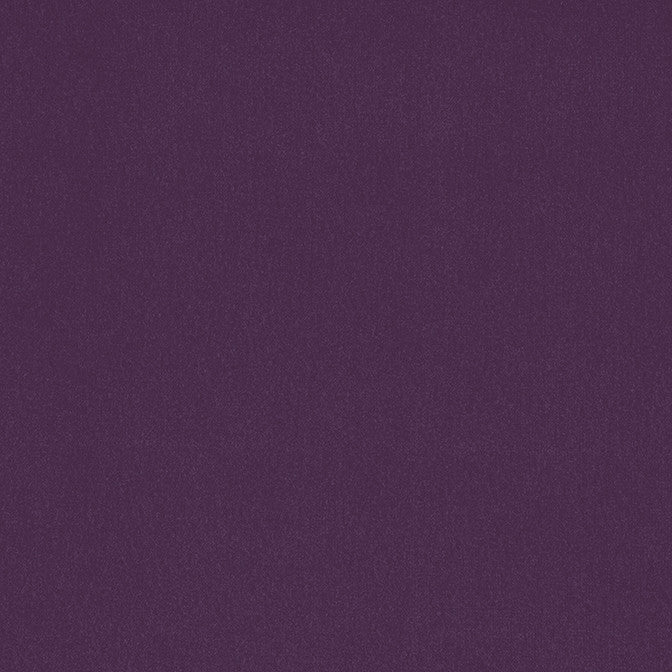 Alto Velvet Amethyst W8931 by Thibaut Fabric Thibaut Fabric Alto Velvet Amethyst W8931Fabric Lyra Velvets 50% Cotton, 50% Polyester ITALY </p><p>Repeat: V: 0 54 - Fabric Carolina -