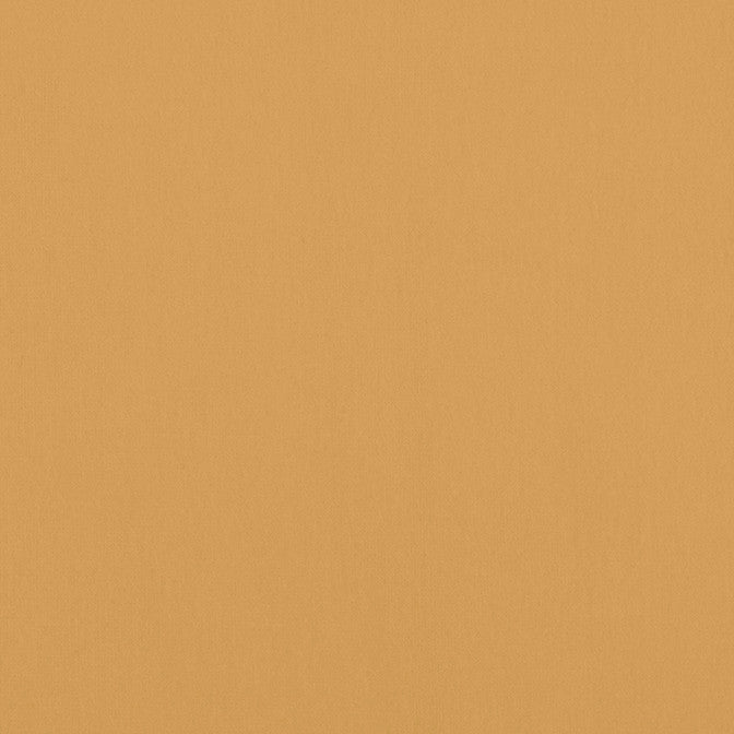 Alto Velvet Honey W8935 by Thibaut Fabric Thibaut Fabric Alto Velvet Honey W8935Fabric Lyra Velvets 50% Cotton, 50% Polyester ITALY </p><p>Repeat: V: 0 54 - Fabric Carolina -