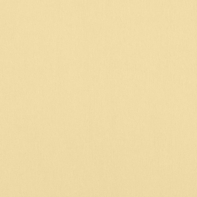 Alto Velvet Straw W8936 by Thibaut Fabric Thibaut Fabric Alto Velvet Straw W8936Fabric Lyra Velvets 50% Cotton, 50% Polyester ITALY </p><p>Repeat: V: 0 54 - Fabric Carolina -