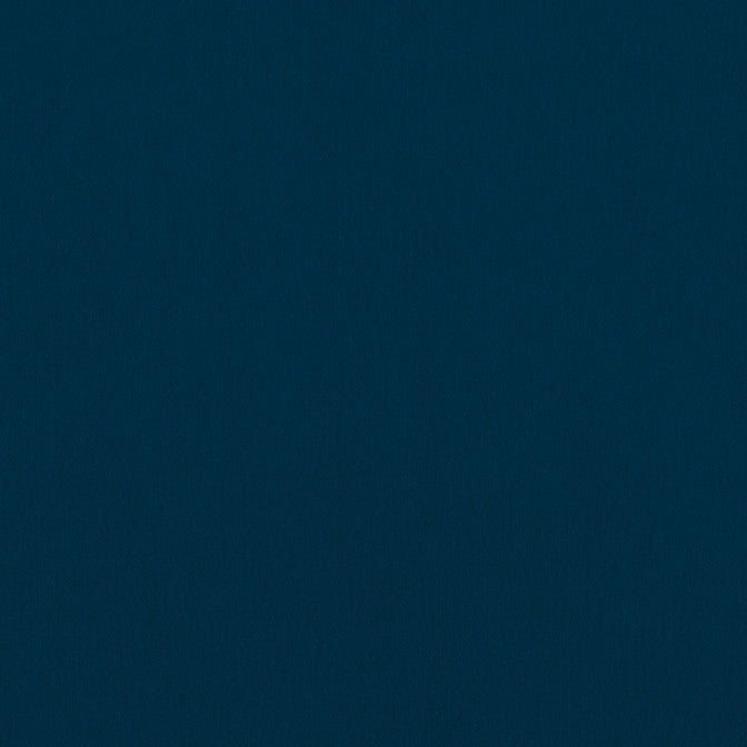 Alto Velvet Navy W8943 by Thibaut Fabric Thibaut Fabric Alto Velvet Navy W8943Fabric Lyra Velvets 50% Cotton, 50% Polyester ITALY </p><p>Repeat: V: 0 54 - Fabric Carolina -