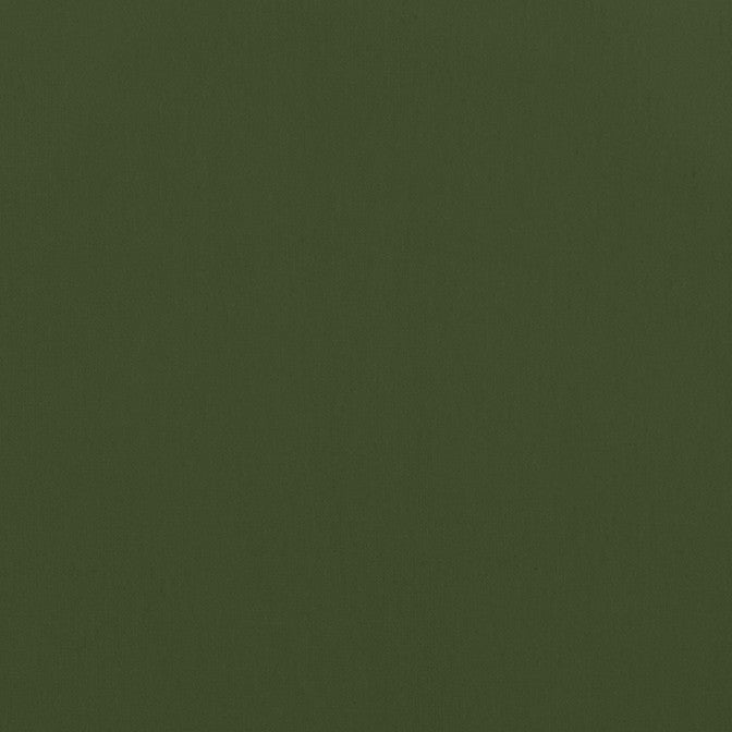 Alto Velvet Olive W8948 by Thibaut Fabric Thibaut Fabric Alto Velvet Olive W8948Fabric Lyra Velvets 50% Cotton, 50% Polyester ITALY </p><p>Repeat: V: 0 54 - Fabric Carolina -