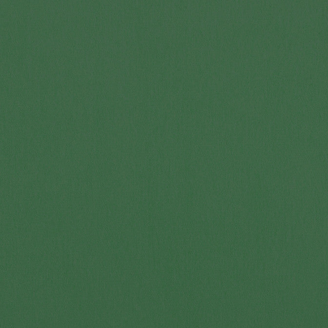 Alto Velvet Holly W8949 by Thibaut Fabric Thibaut Fabric Alto Velvet Holly W8949Fabric Lyra Velvets 50% Cotton, 50% Polyester ITALY </p><p>Repeat: V: 0 54 - Fabric Carolina -