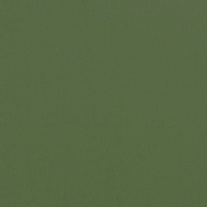 Alto Velvet Juniper W8950 by Thibaut Fabric Thibaut Fabric Alto Velvet Juniper W8950Fabric Lyra Velvets 50% Cotton, 50% Polyester ITALY </p><p>Repeat: V: 0 54 - Fabric Carolina -