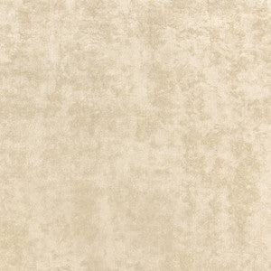 Celeste Velvet Sand W8967 by Thibaut Designer Fabric