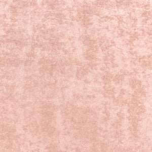Celeste Velvet Blush W8969 by Thibaut Designer Fabric