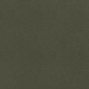 Cordoba Olive W9005 by Thibaut Designer Fabric