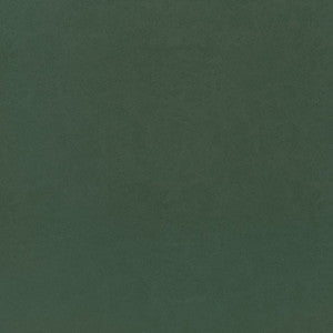 Cordoba Shamrock W9007 by Thibaut Designer Fabric