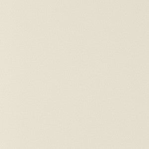 Salta Putty W9015 by Thibaut Designer Fabric