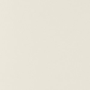 Salta Bone W9017 by Thibaut Designer Fabric