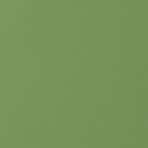 Salta Kiwi W9028 by Thibaut Designer Fabric