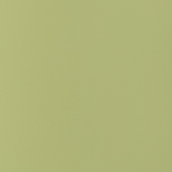 Salta Apple W9029 by Thibaut Fabric Thibaut Fabric Salta Apple W9029Fabric U.S.A </p><p>Repeat: H: , V: 0 (0.00 cm) 54 in  (137.16 cm) - Fabric Carolina -