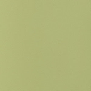Salta Apple W9029 by Thibaut Designer Fabric