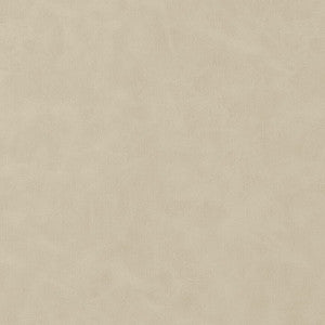 Cabretta Bisque W9038 by Thibaut Designer Fabric