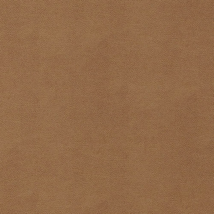 Gaucho Cedar W9053 by Thibaut Fabric Thibaut Fabric Gaucho Cedar W9053Fabric U.S.A </p><p>Repeat: H: , V: 0 (0.00 cm) 54 in  (137.16 cm) - Fabric Carolina -