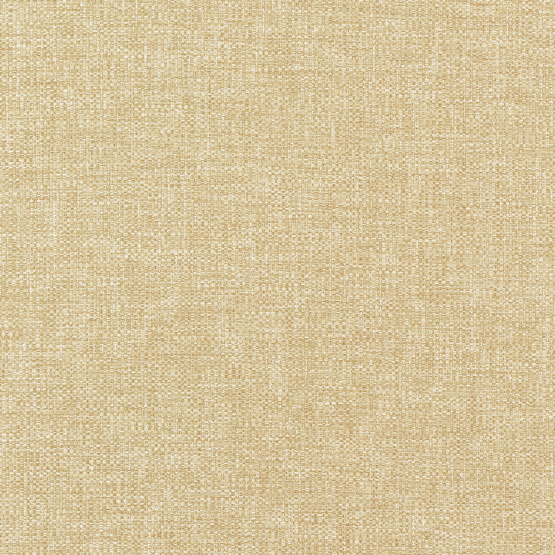KADEN Straw W9117 by Thibaut Designer Fabric