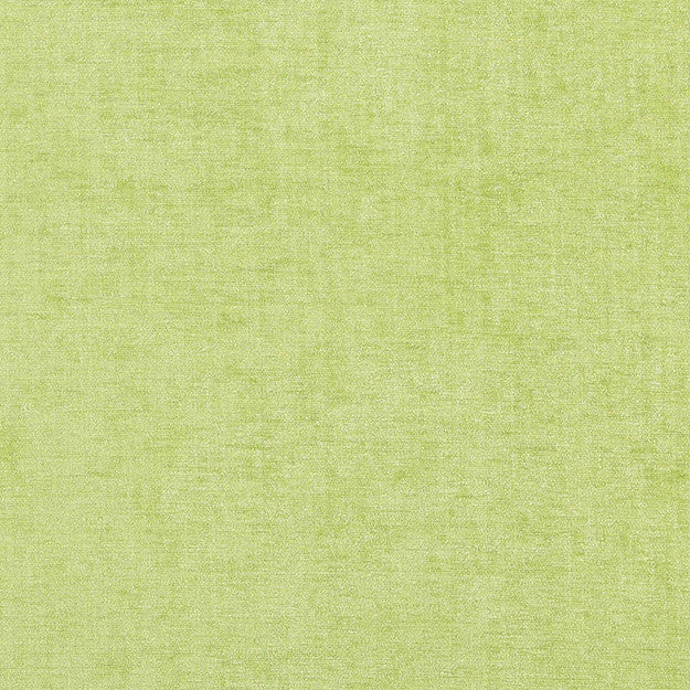 WARRIOR 73J7081 by JF Designer Fabric WINNING WEAVES V 100% Polyester INDIA ABRASIO (HEAVY DUTY- 30,000+ DOUBLE RUBS) Horizontal: N/A and Vertical: N/A 55.00 - Swanky Fabrics -