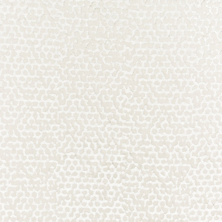 Wasola 1 Parchment by Stout Fabric Stout Fabric Wasola 1 ParchmentFabric COLOR MY WINDOW CHALK/TAUPE INDIA </p><p>Repeat: H: 9.250, V: 20.000 55 in - Fabric Carolina -