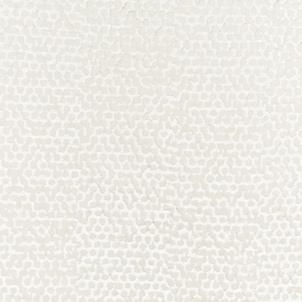 Wasola 1 Parchment by Stout Designer Fabric COLOR MY WINDOW CHALK/TAUPE 100%POL INDIA </p><p>Repeat: 20 55 in - Swanky Fabrics -