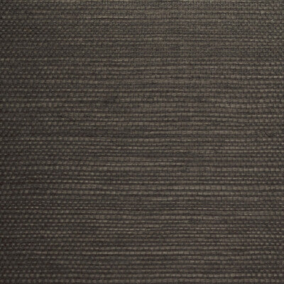 Winfield Thybony - Wallcovering - WBG5106.WT.0 - Wallcovering - SISAL - 100% - United States </p><p>Repeat: H: , V: 27.5 21 - My Fabric Connection -