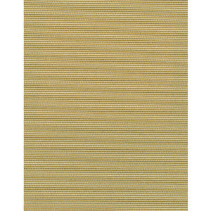 Elza Spun Silk by Winfield Thybony Designer Wallcovering