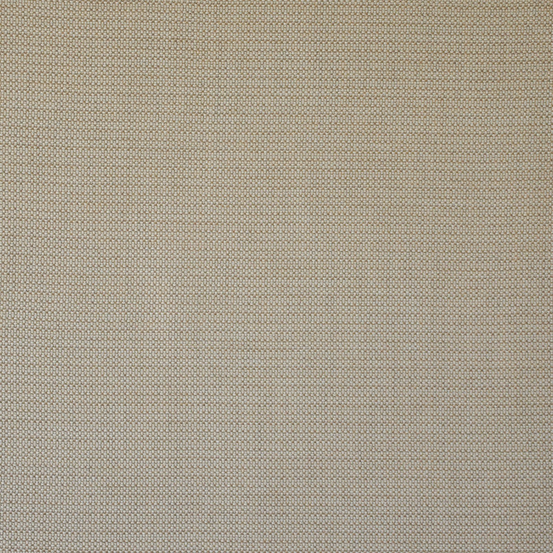 Wet Sand # 501 Camel by Maxwell Designer Fabric Home & Garden-Act I 100% SUNBRELLA ACRYLIC USA 54" - Swanky Fabrics -