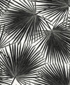 Elvis Palms Inky WH41500 by Seabrook Designs Designer Wallpaper