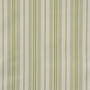 Wyndhurst # 645 Pesto by Maxwell Designer Fabric