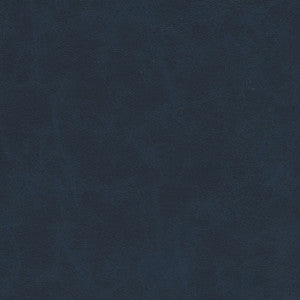 Warden-Nj # 998 Pacific by Maxwell Designer Fabric