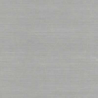 Winfield Thybony - Wallcovering - WHF1743.WT.0 - Wallcovering - VINYL - 100% - United States </p><p>Repeat: H: , V: 27.5 21 - My Fabric Connection -