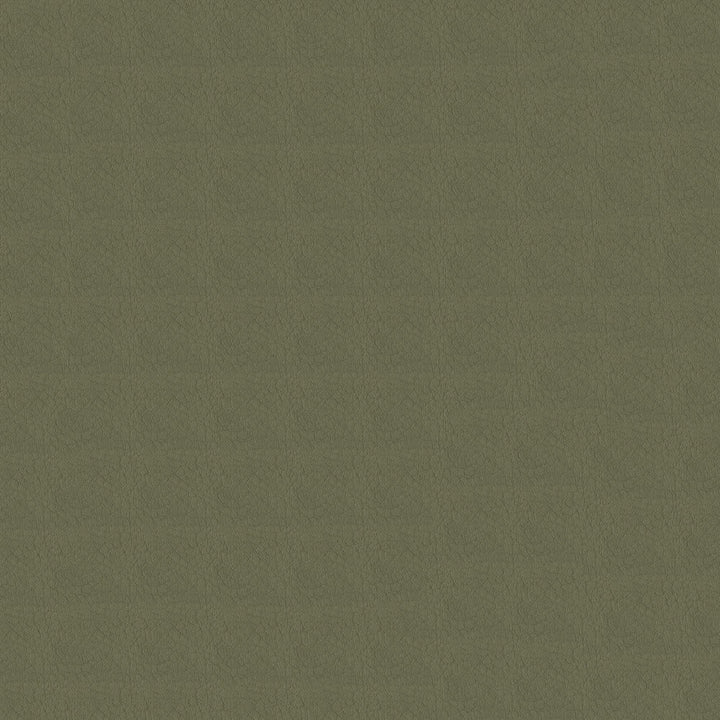 Whisper Vinyl 2120 Antelope by Softside Designer Fabric Vinyl/Urethane Topcoat Costa Rica 100,000 Double Rubs (Wyzenbeek) </p><p>Repeat: Horizontal: and Vertical: 54" (137 cm) - Swanky Fabrics -