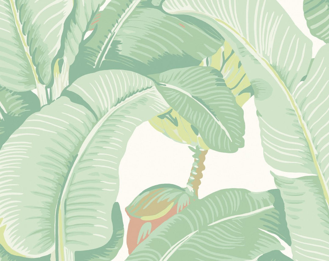 Hinson Palm Soft Sage WHN44000MD0006 by Hinson Designer Wallpaper