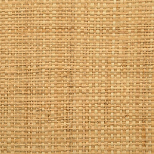 Hinson Madagascar - Fine/Natural Whn00Aby0391 by Hinson Designer Wallpaper