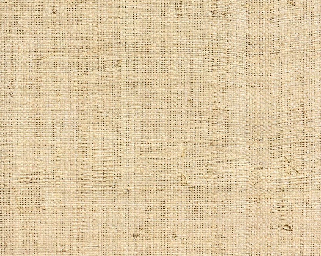 Hinson Madagascar - Fine Whitewashed WHNY039100WB by Hinson Designer Wallpaper
