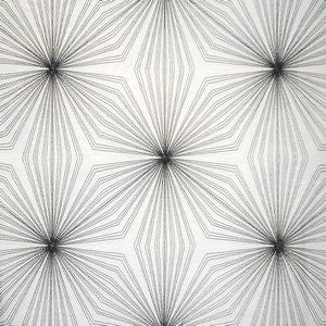 Wicked Black 13014 by Norbar Designer Fabric ALLURE 100% POLYESTER TURKEY 6 1/4"V 10 7/8"H 107" - Swanky Fabrics -