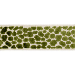 Wilder Tape Lime by Magnolia Designer Fabric