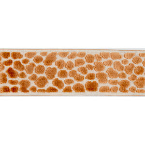 Wilder Tape Terracotta by Magnolia Designer Fabric
