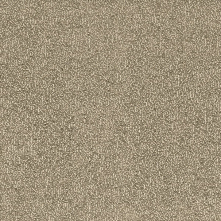 Wilkinson 2 Dove by Stout Designer Fabric On The Go 100% Polyurethane 1% Other CHINA FLAME RETARDANT-CA BULLETIN 117-SECTION E FLAME RETARDANT-U.F.A.C. CLASS 1 (OR A) FLAME RETARDANT-N.F.P.A. 260A CLASS 1 WYZENBEEK 500 000 DOUBLE RUB WEAR TEST(EXTREMELY HEAVY DUTY) FLAME RETARDANT-FMVSS 302 Horizontal: 0 and Vertical: 0 54 in - Swanky Fabrics -