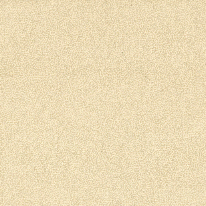 Wilkinson 3 Sandune by Stout Designer Fabric ON THE GO 100%POU 1%OTH CHINA FLAME RETARDANT-CA BULLETIN 117-CLASS 1 WYZENBEEK 15 000 DOUBLE RUB WEAR TEST (HEAVY DUTY) CATB 117-2013 Horizontal: 0.000 and Vertical: 0.000 54 in - Swanky Fabrics -