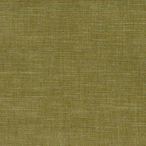Wilkes Green Tea by Magnolia Designer Fabric