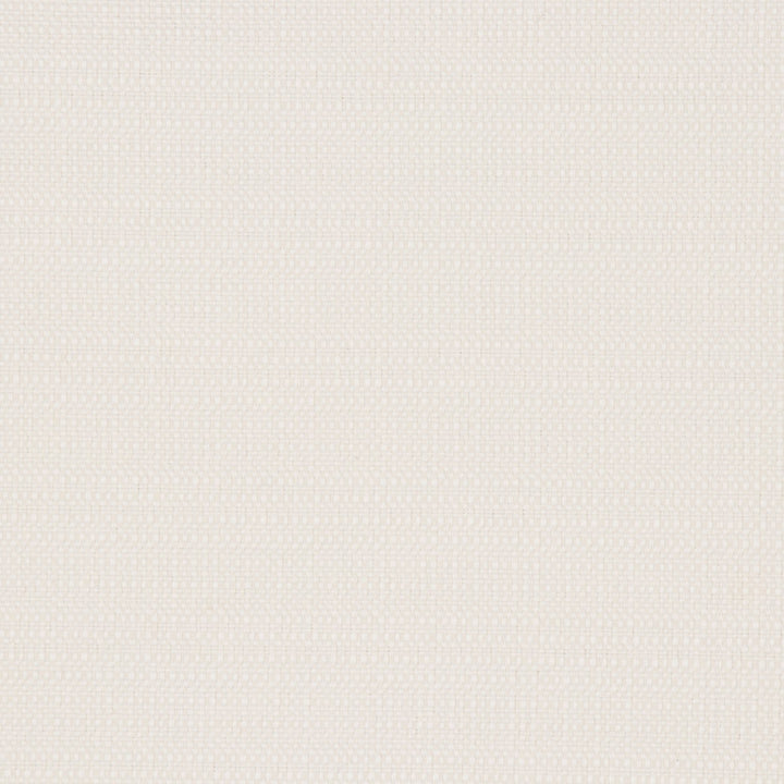 Willem Ivory by Bella-Dura Designer Fabric  100% BELLA DURA POLYOLEFIN USA 70000 H: N/A V: N/A 55''  - Swanky Fabrics -