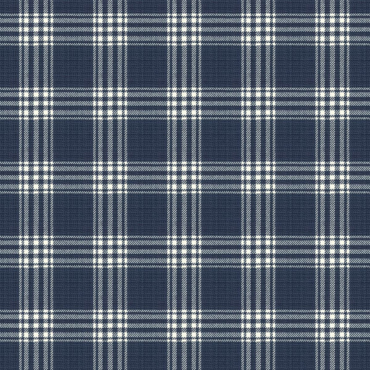 Wilma 1 Ink by Stout Designer Fabric RAINBOW LIBRARY BLUEBIRD/INDIGO 100%COT INDIA WYZENBEEK 50 000 DOUBLE RUB WEAR TEST (HEAVY DUTY) </p><p>Repeat: 4.5 54 in - Swanky Fabrics -
