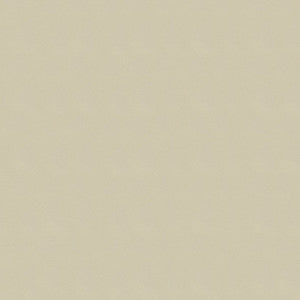 Windsong 719 Maui Sand by Ship to Shore Designer Fabric