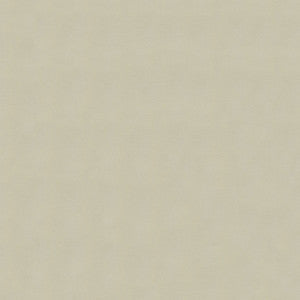Windsong 753 Vanilla Cream by Ship to Shore Designer Fabric