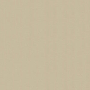 Windsong 754 Baja Tan by Ship to Shore Designer Fabric
